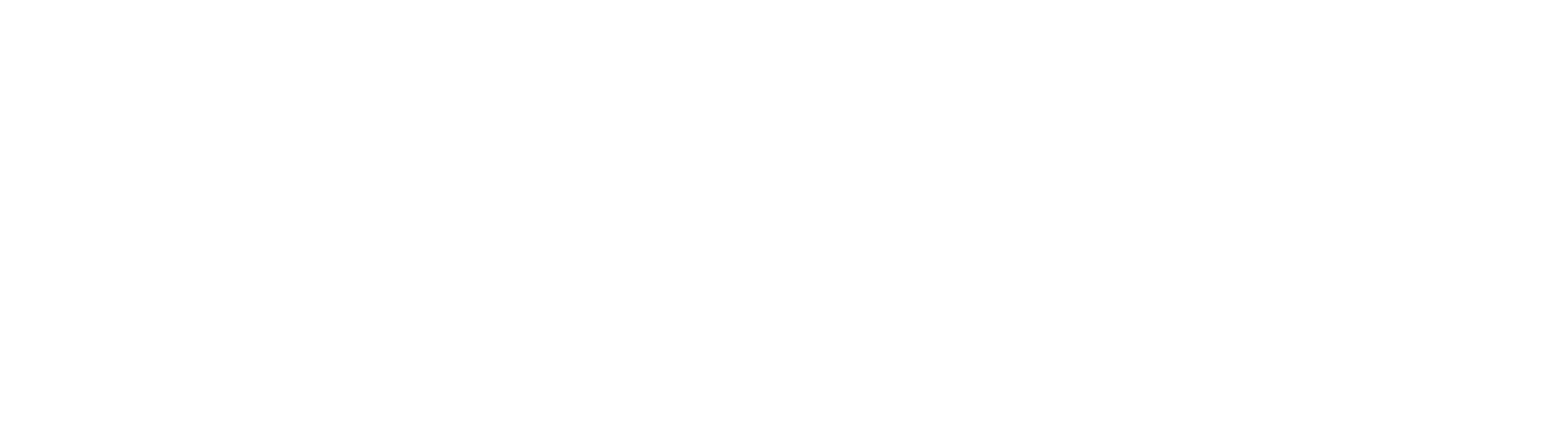 Metshape GmbH EN